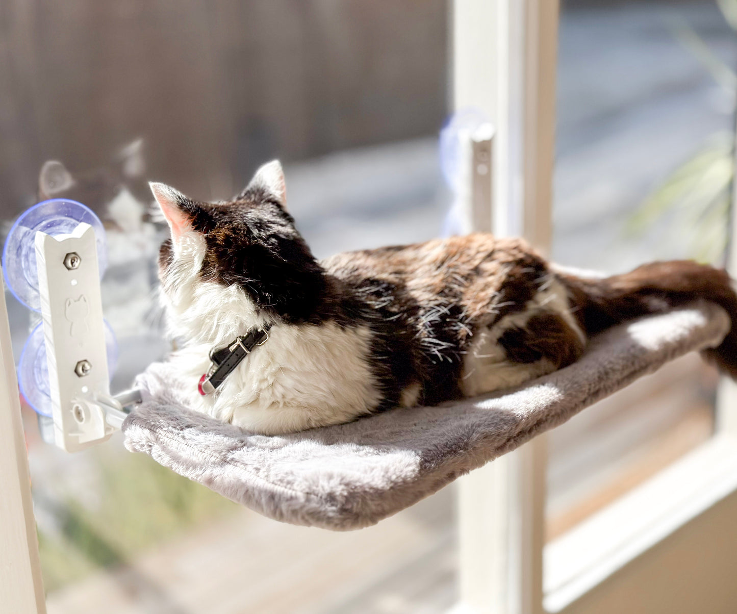 Aussie Furbaby™ Cordless Foldable Cat Window Hammock – XL (50×30cm)