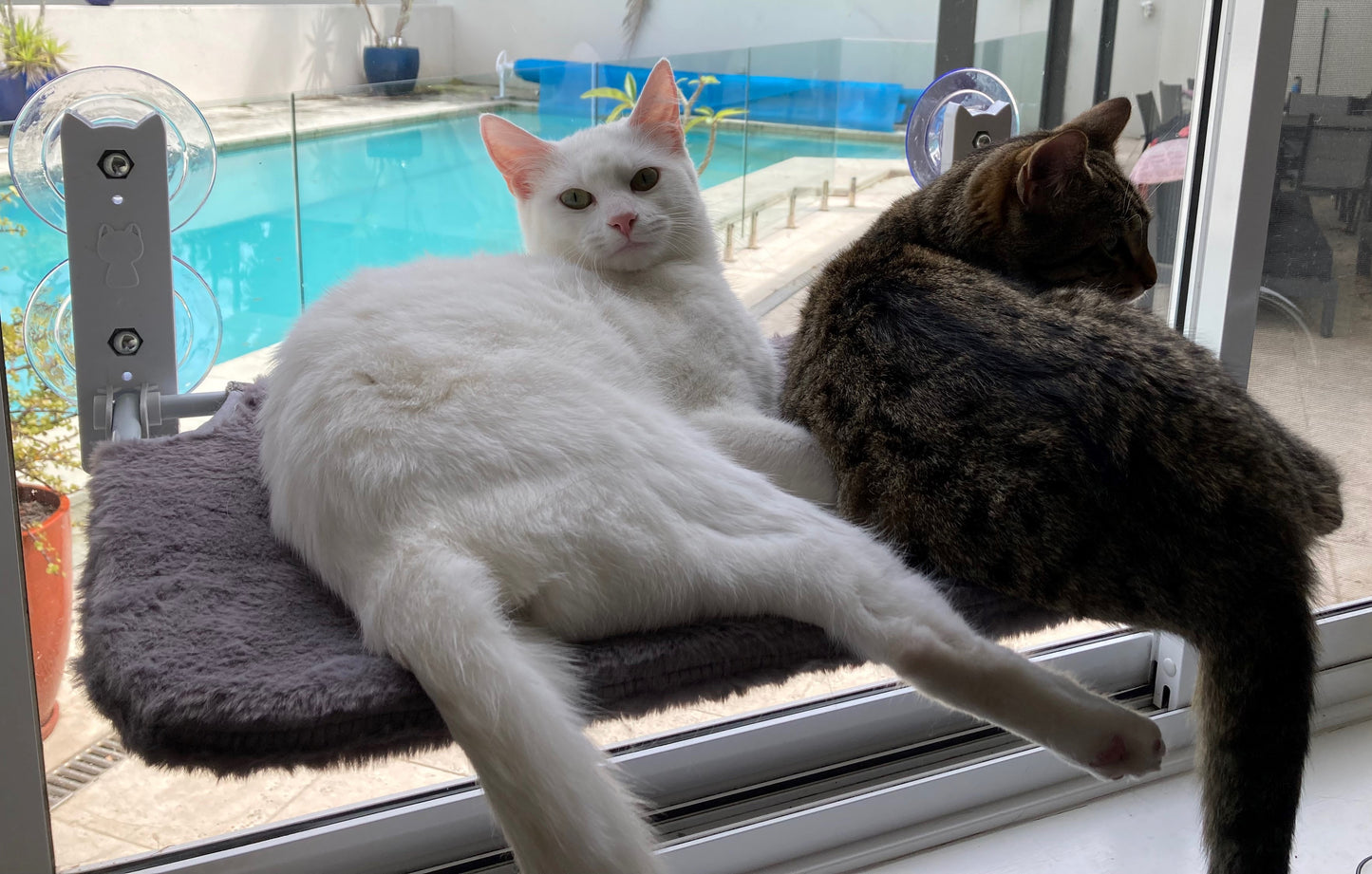 Aussie Furbaby™ Cordless Foldable Cat Window Hammock – XL (50×30cm)