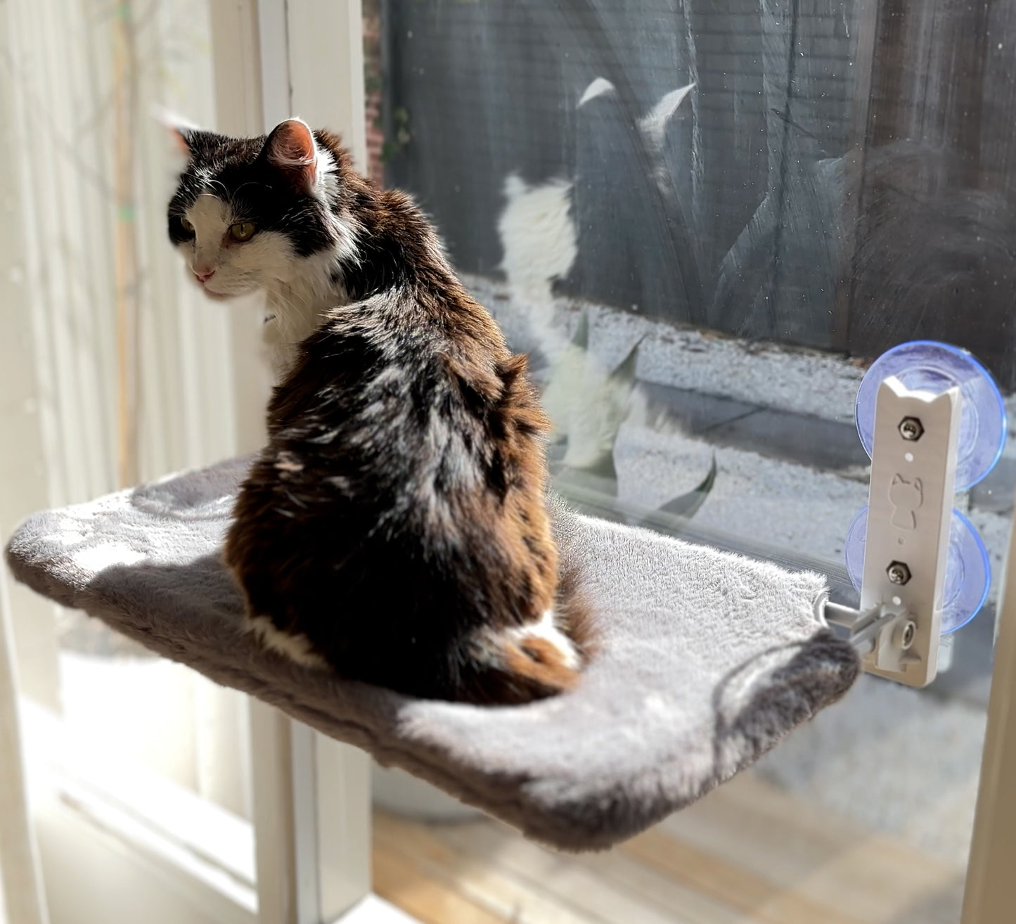 Aussie Furbaby™ Cordless Foldable Cat Window Hammock – XL (50×30cm)