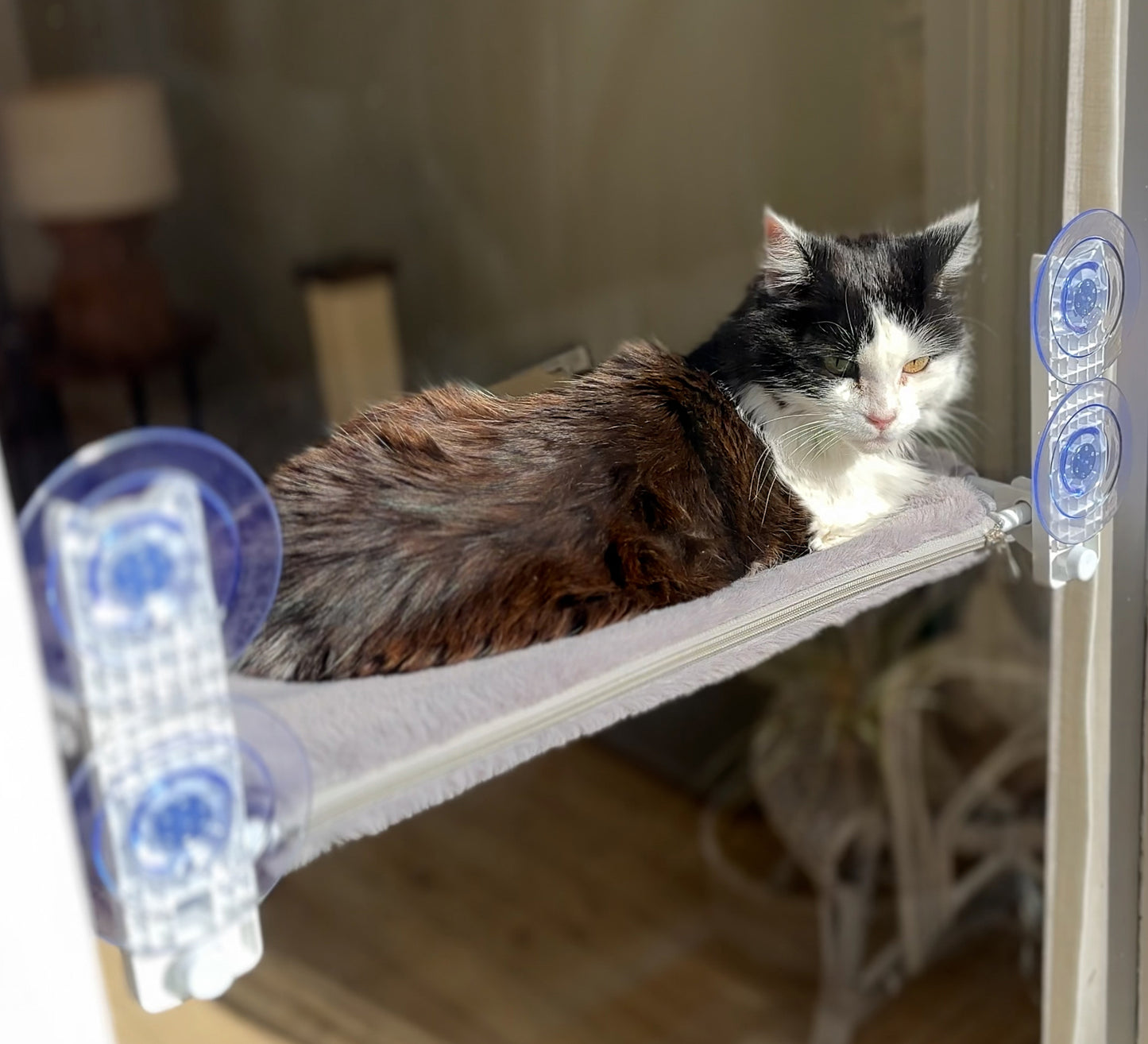 Aussie Furbaby™ Cordless Foldable Cat Window Hammock – XL (50×30cm)