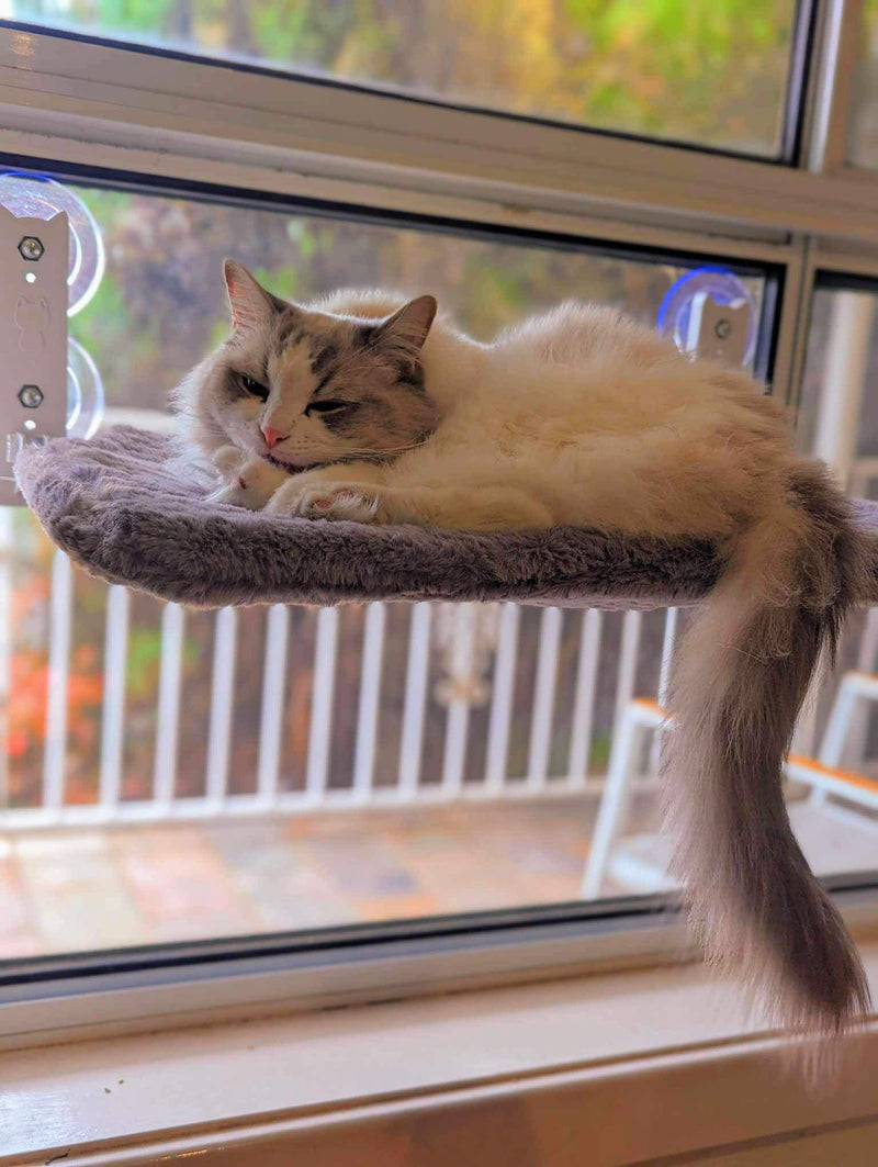 A fluffy grey and white cat asleep on the Aussie Furbaby window hammock