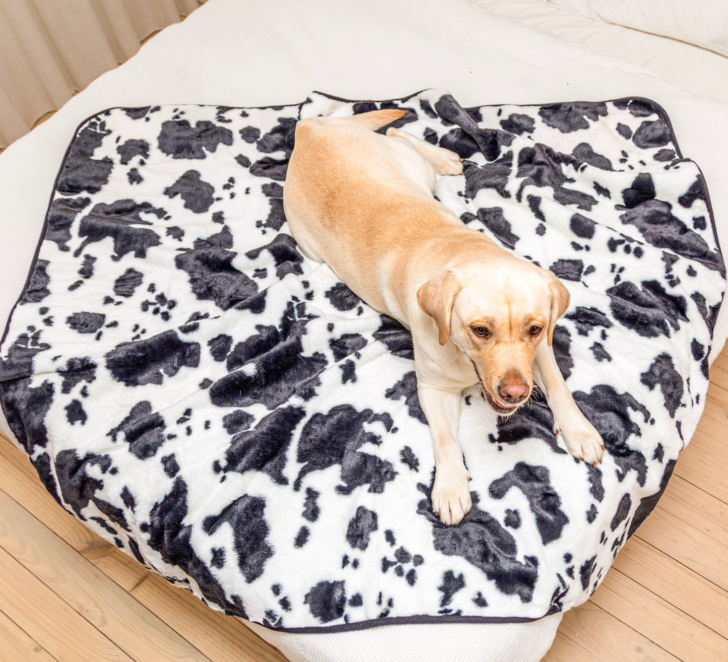 AUSSIE FURBABY™ Waterproof Dog Blanket – Soft Luxury Machine Washable Dog Blankets - Cow Hide