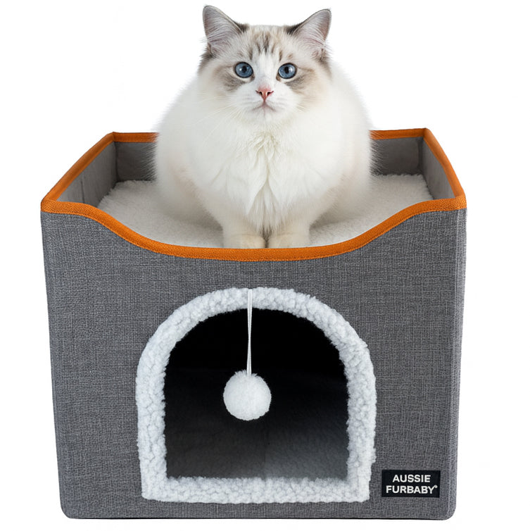 Cat sitting inside a gray pet house with orange trim on a white background