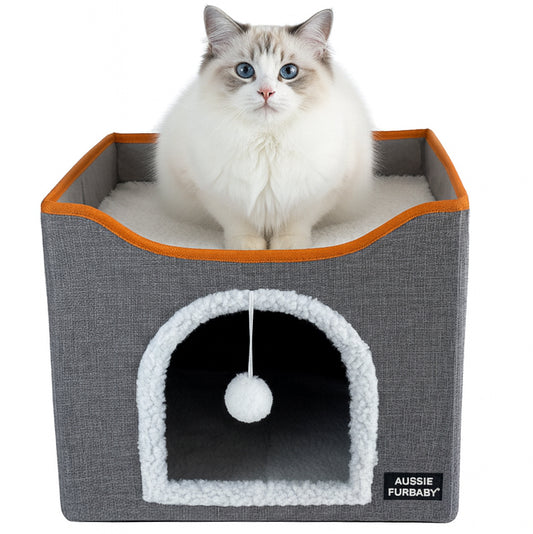 Cat sitting inside a gray pet house with orange trim on a white background