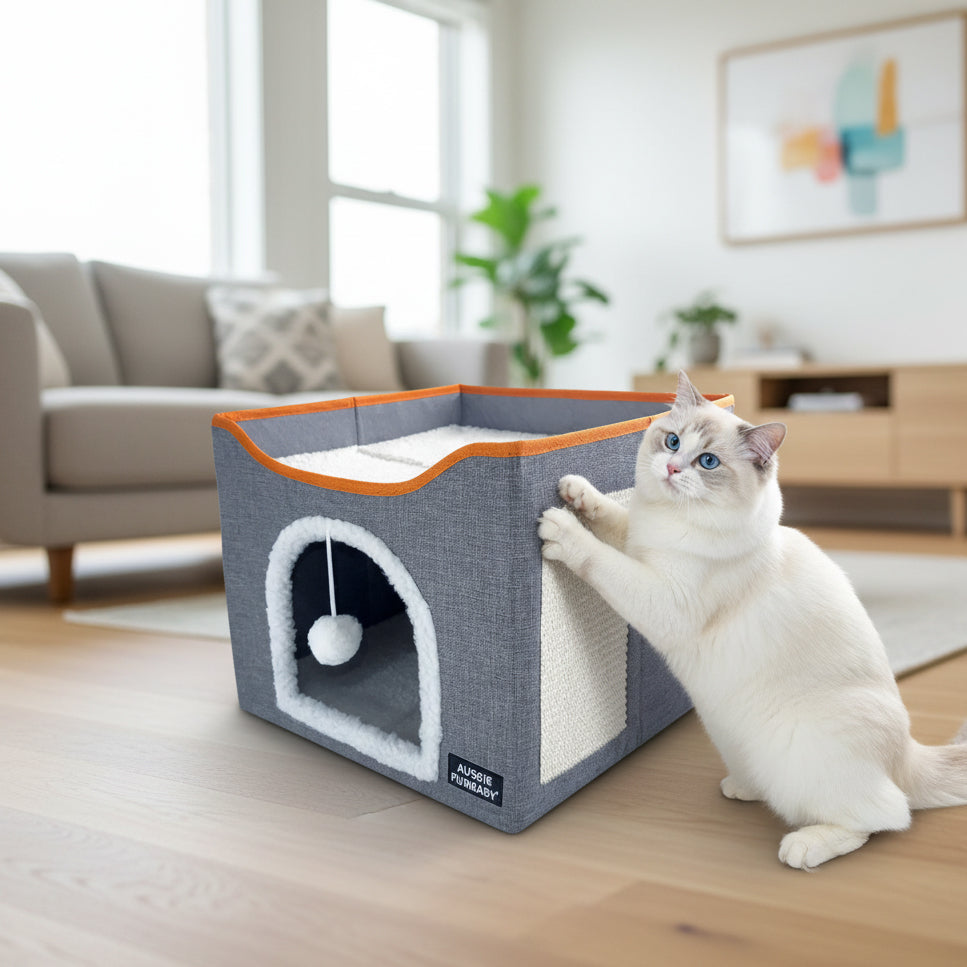 Cat playing with a cat tree in a living room