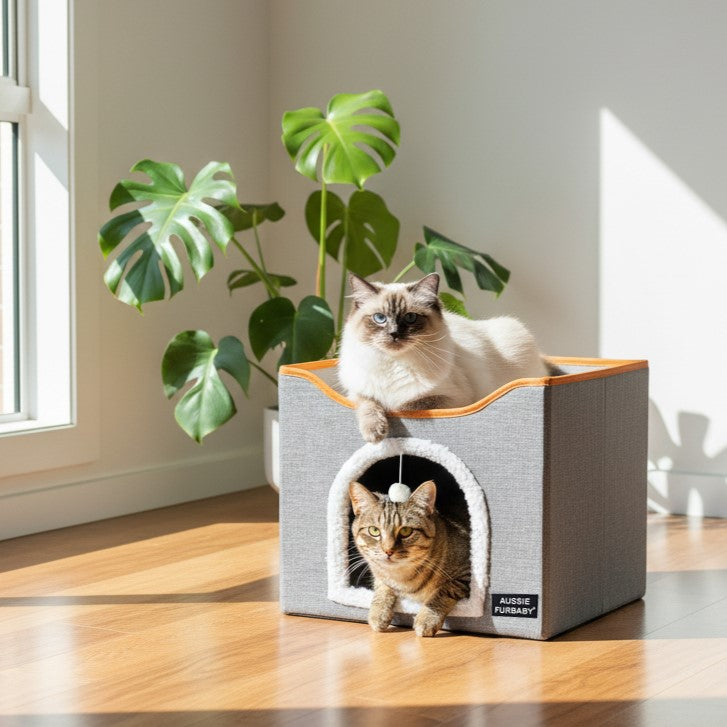 Aussie Furbaby 2-in-1 Foldable Indoor Cat Bed & Scratching Cube – Soft Cat Cave, Scratcher & Perch in One!