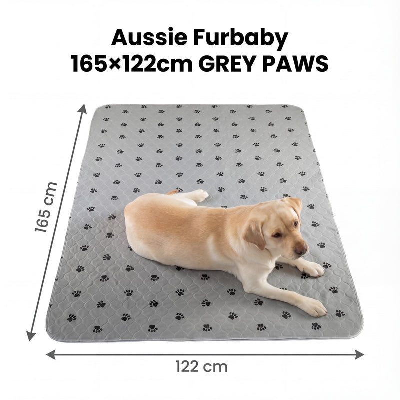 GREY PAWS, 165 × 122 cm, 1 Pack
