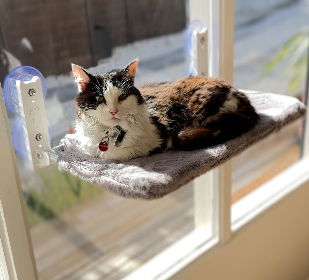 Black and white cat lying on the Aussie Furbaby faux fur window hammock on a sunny window