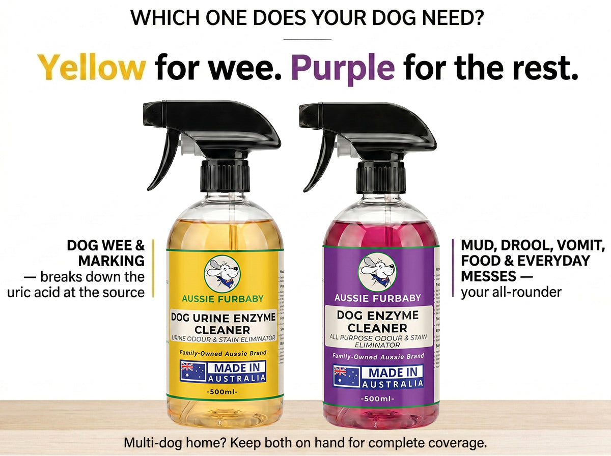 Aussie Furbaby Dog Urine Enzyme Cleaner – Pet Urine Odour Eliminator Spray – Breaks Down the Uric Acid That Draws Dogs Back – Carpet, Rugs, Hardwood & Outdoor Floors – Australian Made