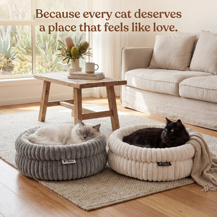 The grey and the white round cat bed side by side in a lounge room