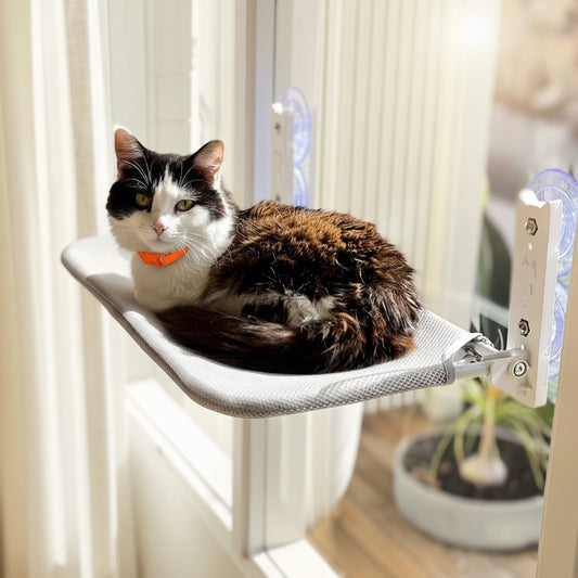Aussie Furbaby™ Cordless Foldable Cat Window Hammock – XL (50×30cm)
