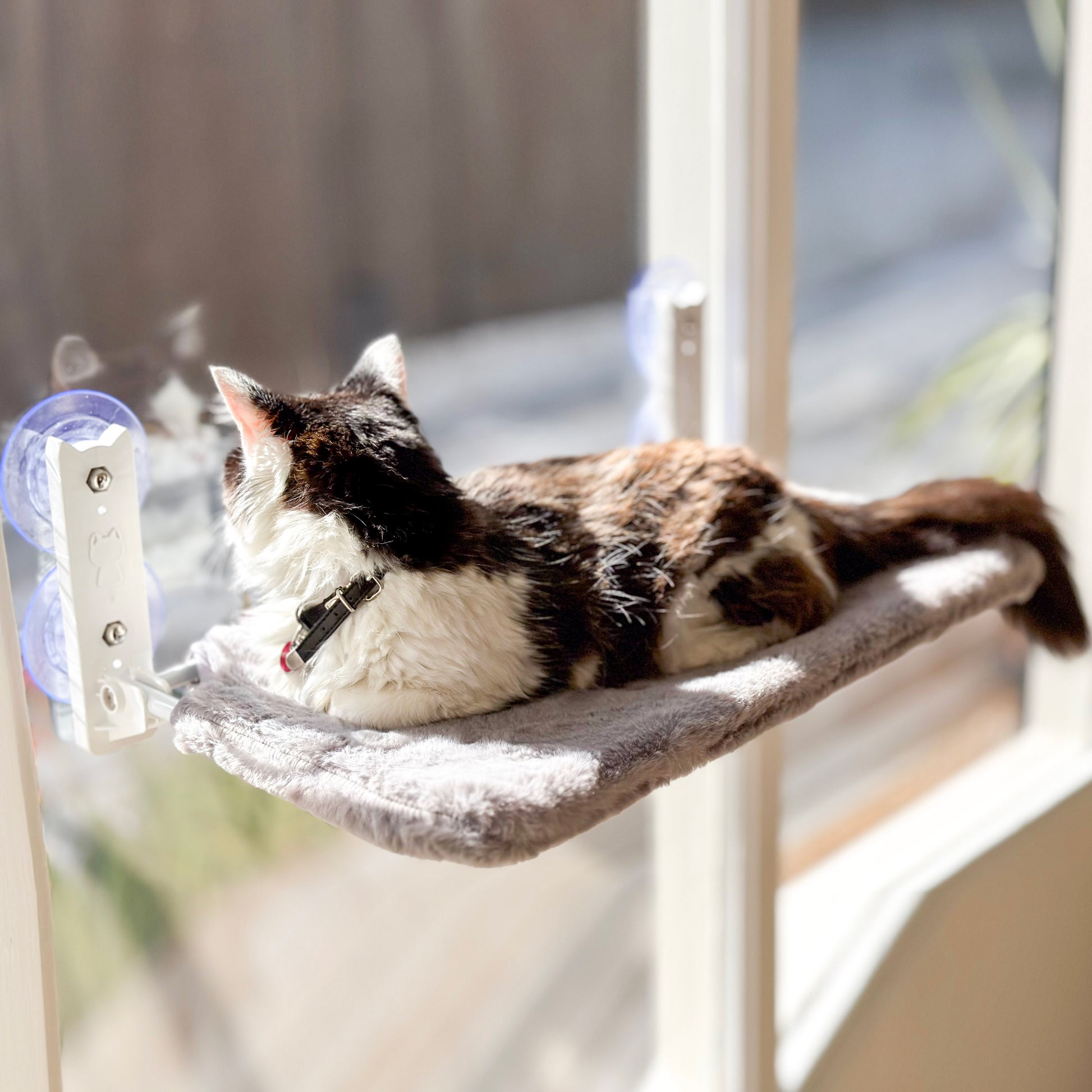 AUSSIE FURBABY™ Cordless Foldable Cat Window Perch Cat Hammock - Large