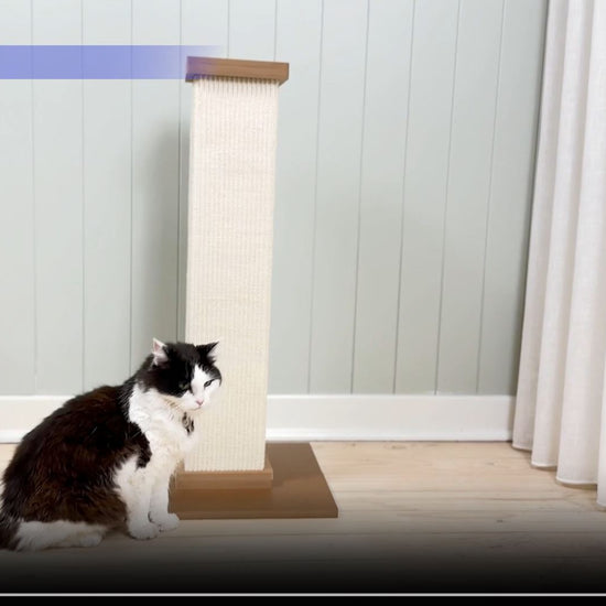 Aussie Furbaby Cat Scratcher video highlighting design and benefits