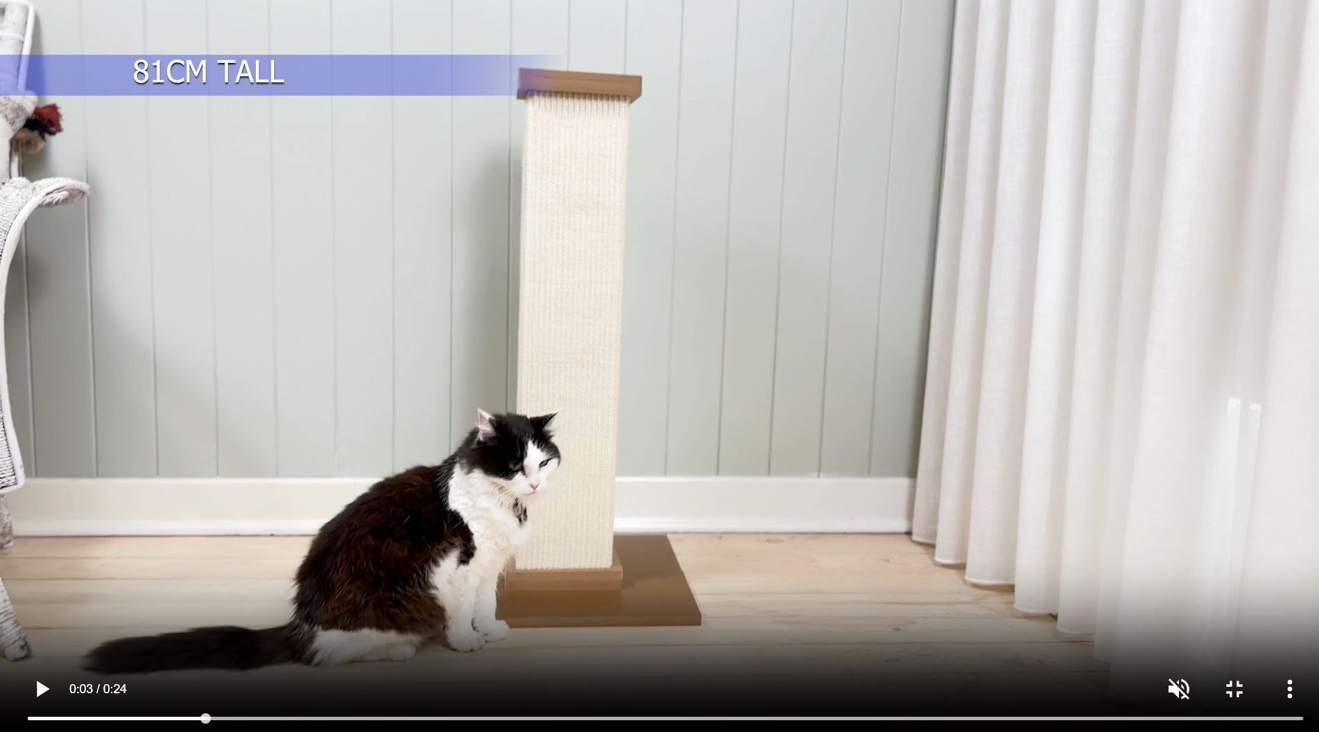 Aussie Furbaby Cat Scratcher video highlighting design and benefits