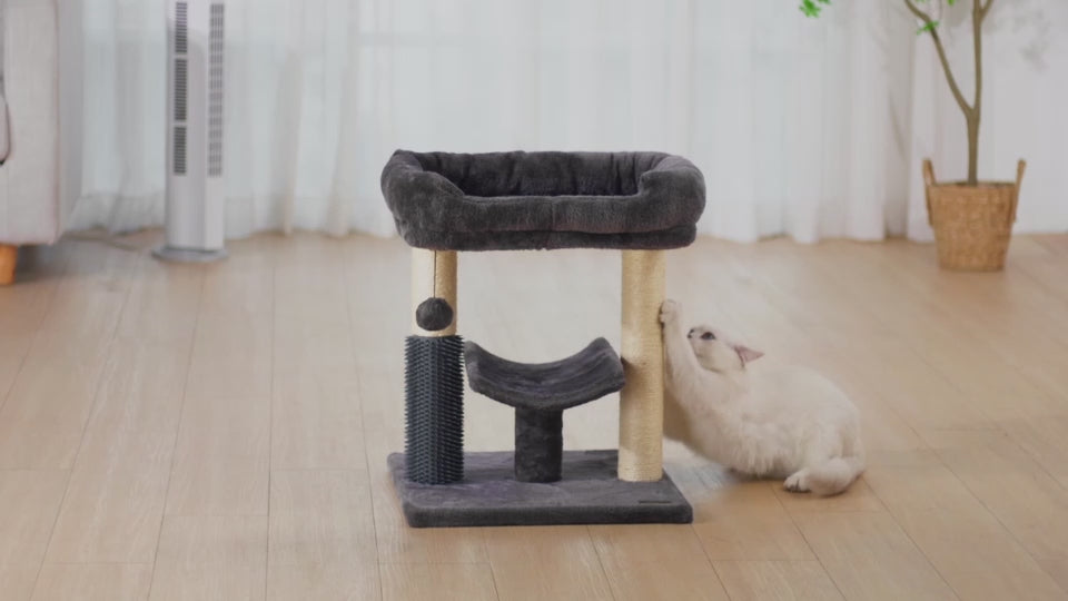 cat playing with cat scratcher