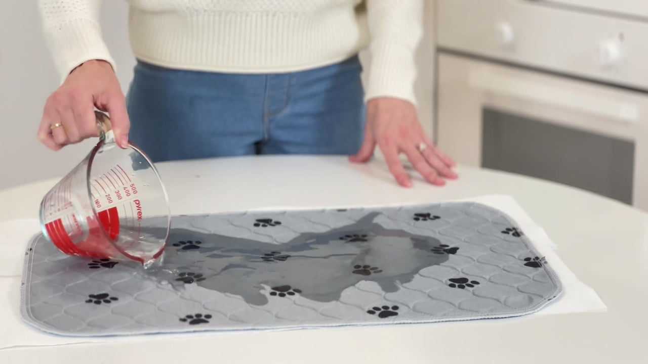 Sammy shows both washable pads: water poured on Grey Paws and Grey Soft soaks in, and the paper underneath stays dry