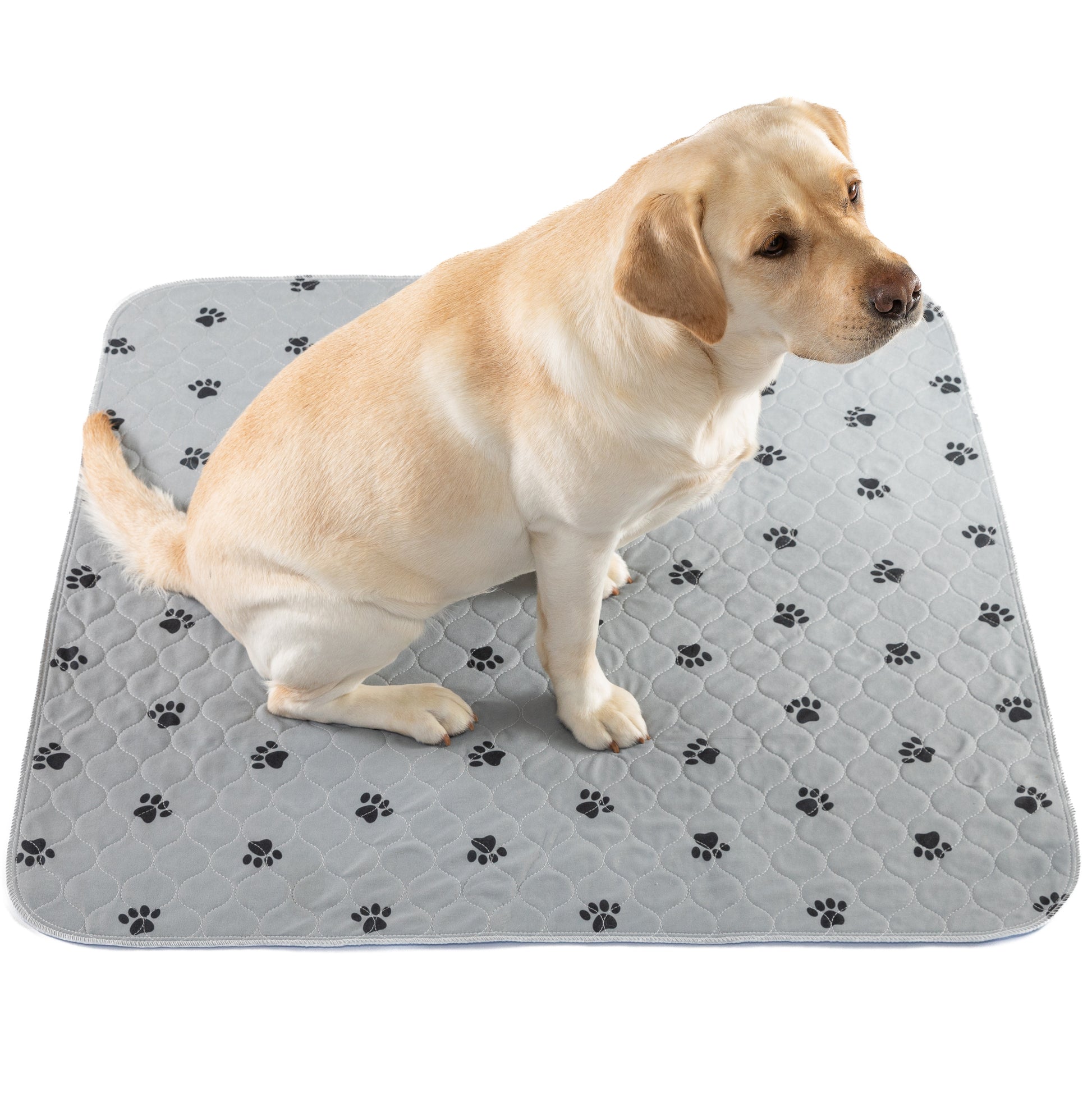Amazon Pet Shop Puppy Training Pads Amazon Puppy Whelping Pads