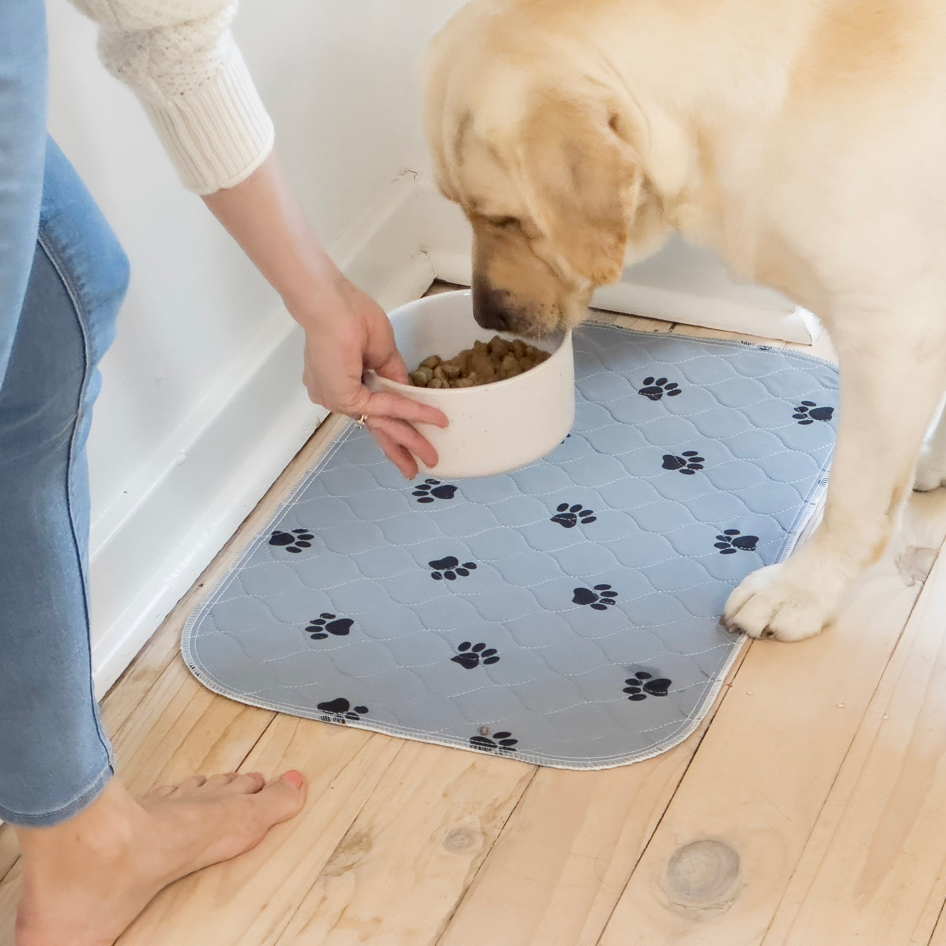Puppy Training Pads Dog Eats Puppy Pad Pad Holder Puppy Keeps